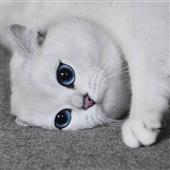 Đ
